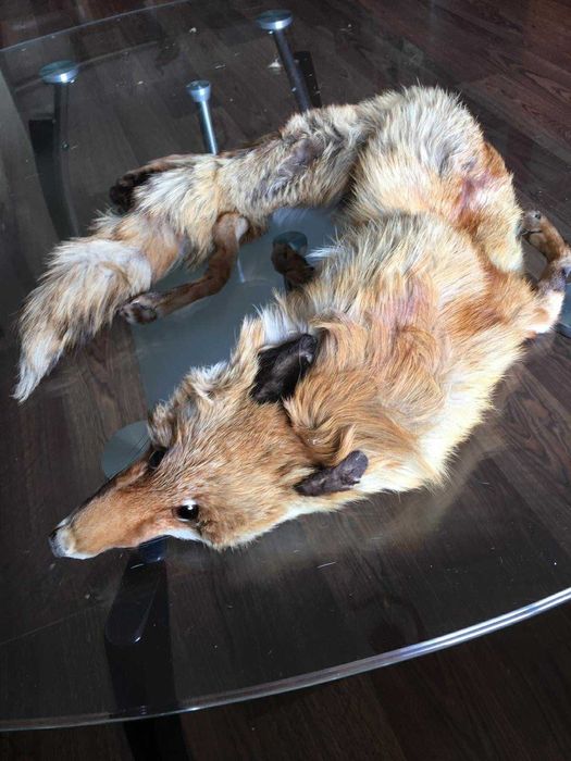 Лисича кожа за носена на врата или за украса