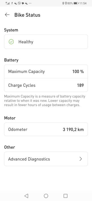 Specialized turbo levo 29 er