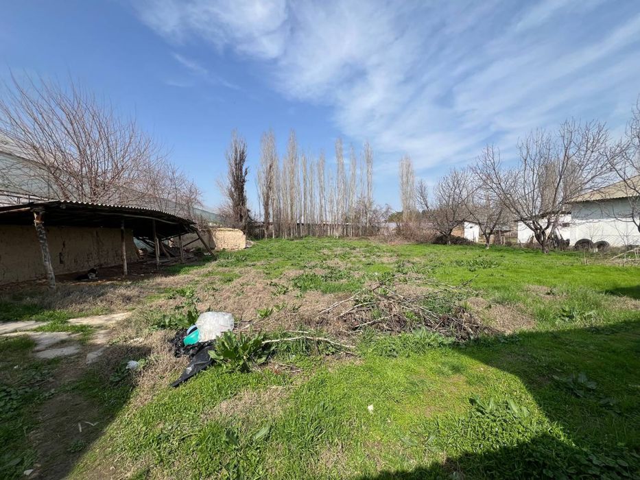 Yuqori chirchiq tumani Toqimbay lubzavot