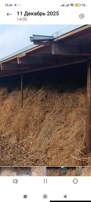 Беда таранг 3 телечка сотилади