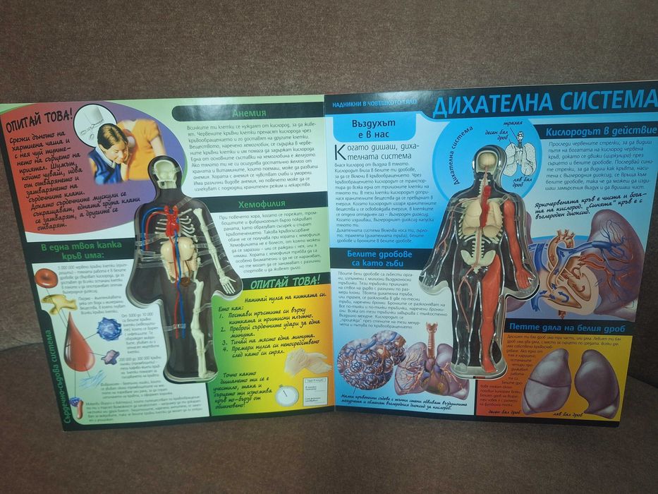 Детска енциклопедия