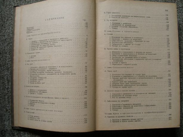 Патологическа анатомия Prof. Dr Dietrich 1933 Медицински летописи 1948