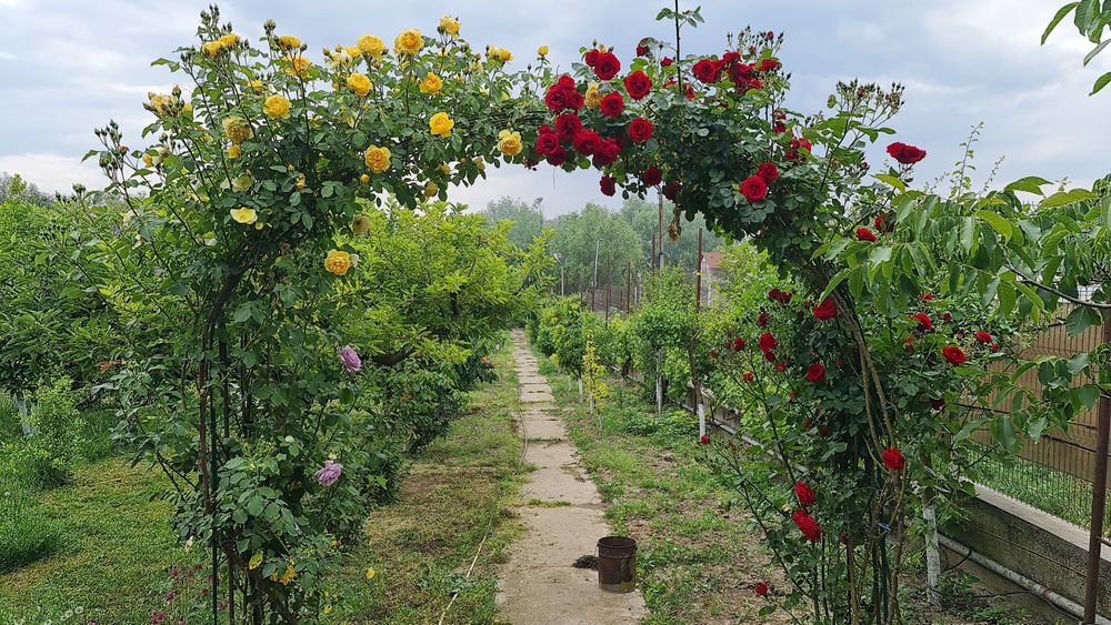 Teren intravilan 9 Mai - Tulcea