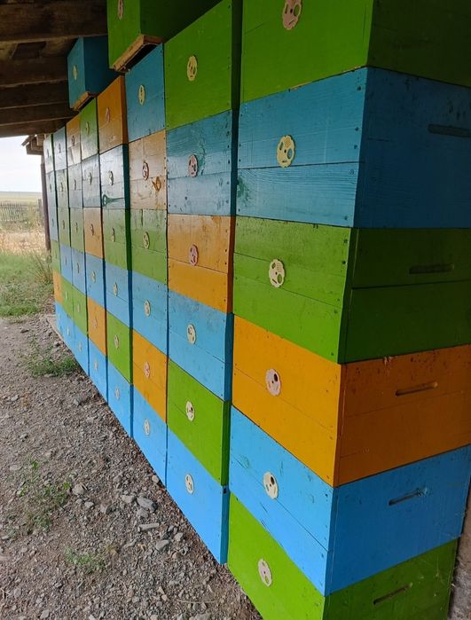 Продам улья для пчел.12 рамочный дадан.