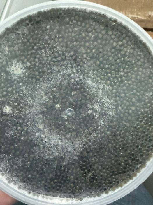 Икра натуральная только полезная