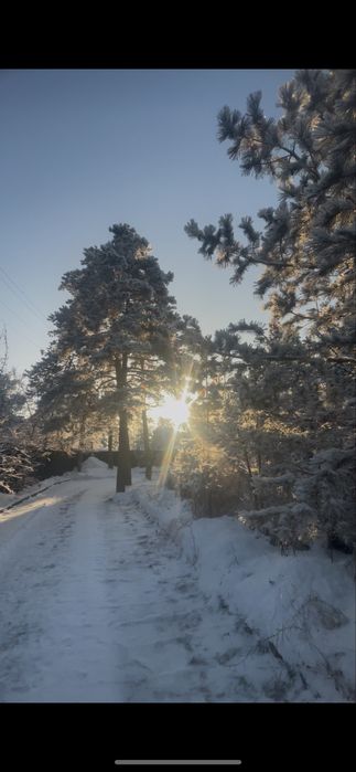 Дам в ареүду центре Борового