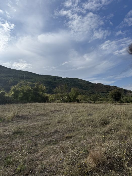 Teren Mehadia 4400 mp - 8 euro mp