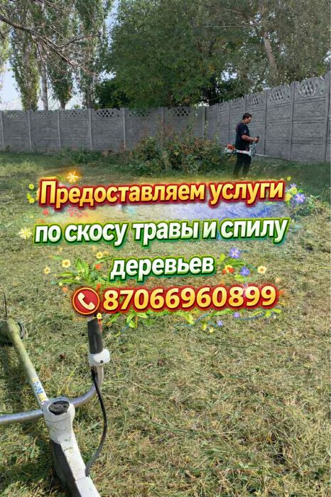 Покос травы спил деревьев