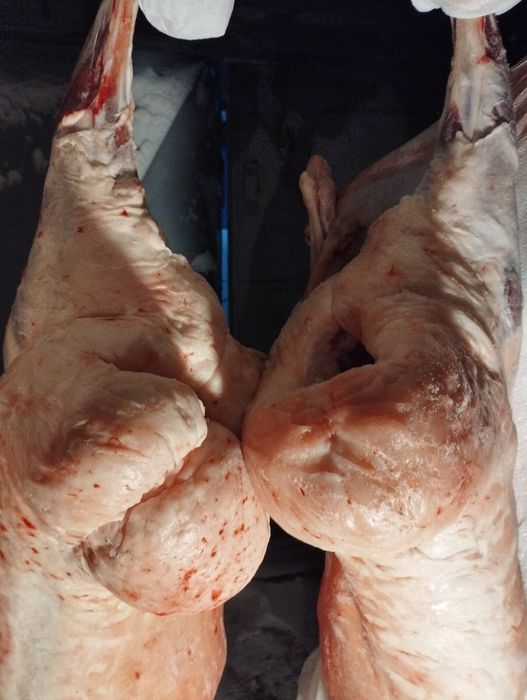 Продам мясо баранина