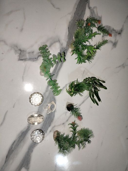 Akvarium uchun aksesuarlar sotiladi