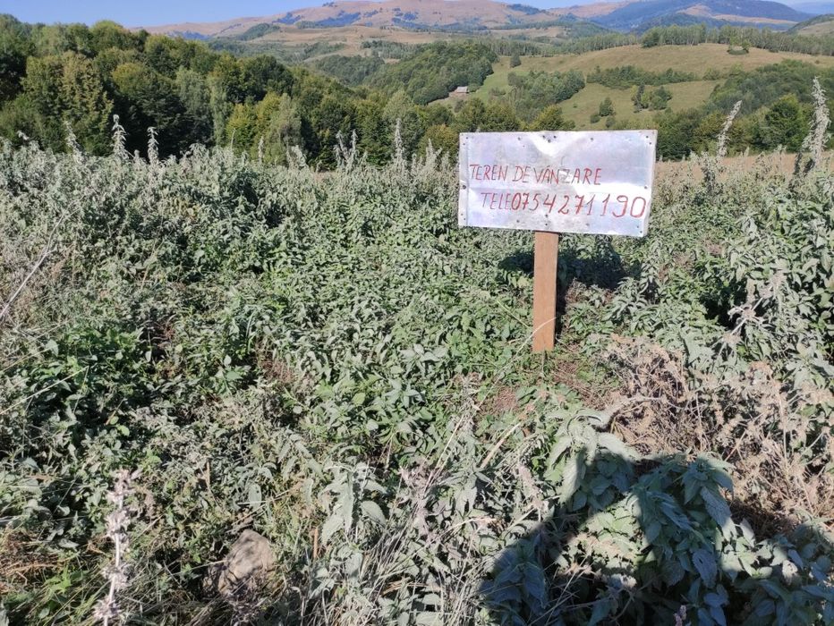 Teren în Ponor, jud. Alba pe TRANSAPUSEANA chiar la drum