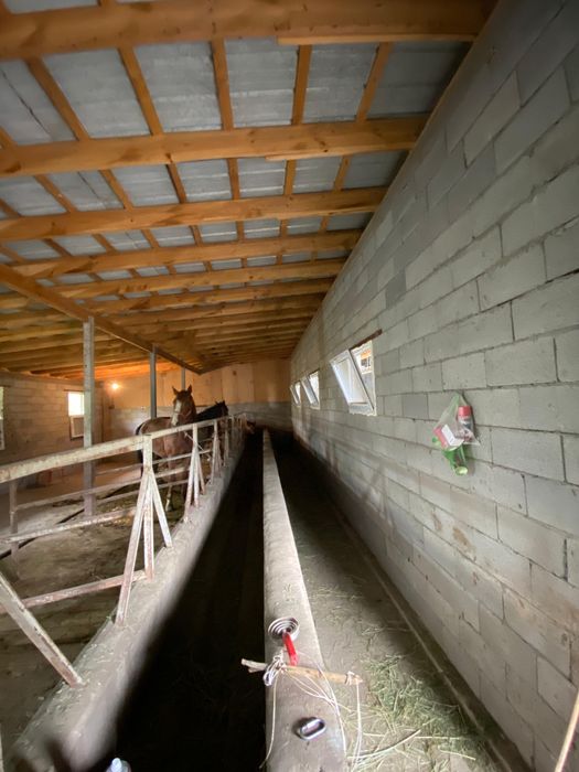 Продается фазенда