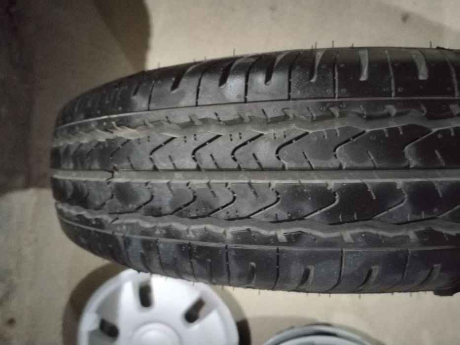 Баллон дамасники родной