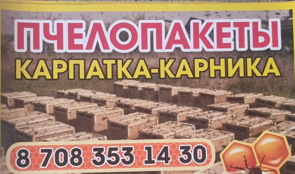 Пчелы,пчелопакеты,пчелосемьи
