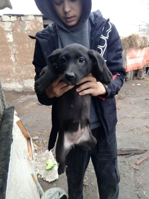 Тея и Лапушка ищут дом!