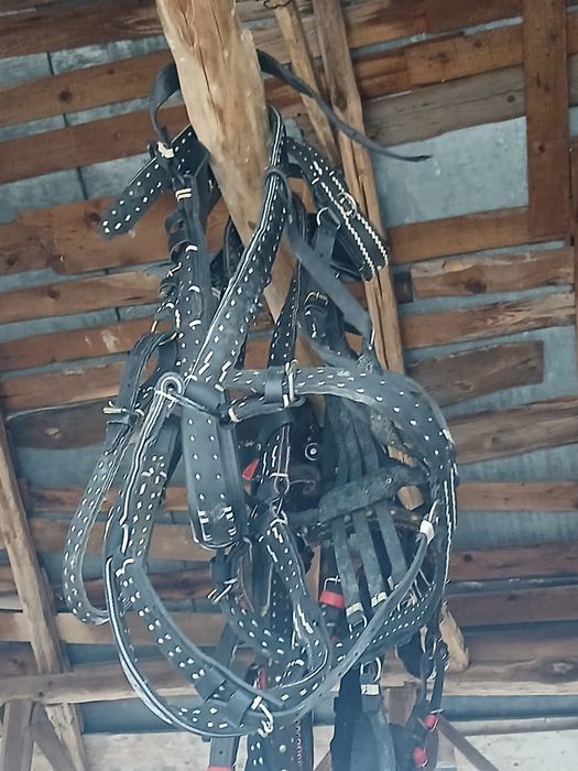 Ham nou de vânzare 1,40 cm piept