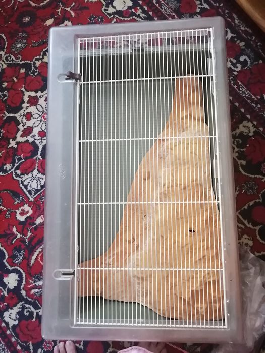 Аквариум для черепашки б/у за 45000 тенге