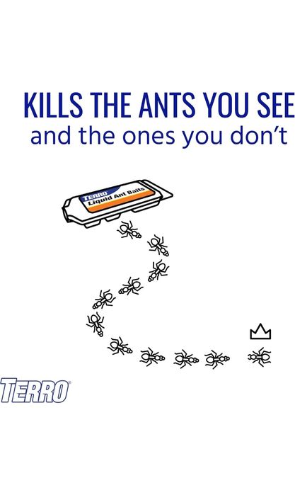 Средство от меравьев в доме