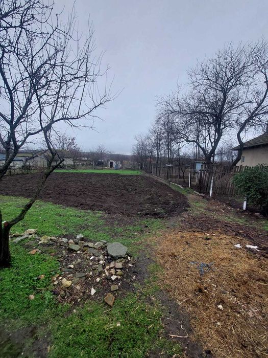 Vand un lot de teren de 900 mp,deschidere 20 ml la DJ224