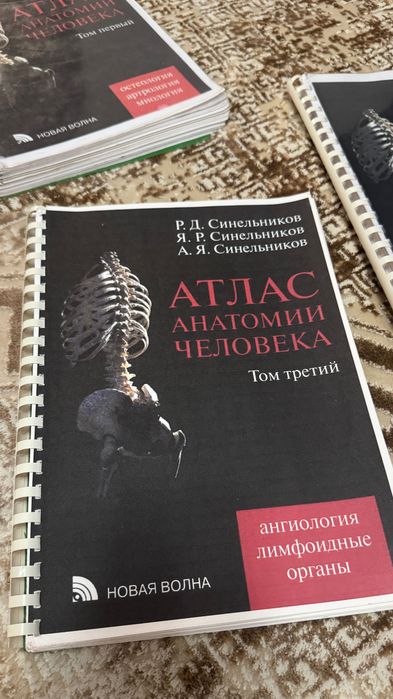 Атлас анатомии человека Синельников