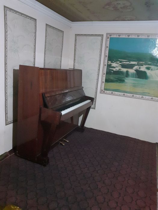 Pinina Belarusiya holati yahshi sotamz