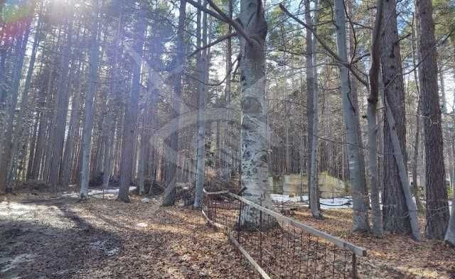 Продава се Парцел в с. Добралък, Област Пловдив - 1132 кв.м за 67 €/кв.м - Снимка #2