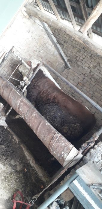 Gereford Buqa sotiladi