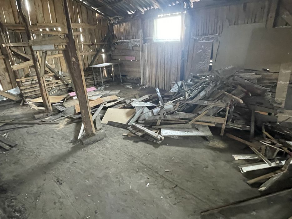 Debarasari, servicii profesionale dezinfectie Iasi si imprejurimi