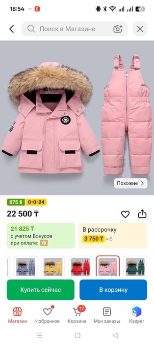 Зимний камбензон