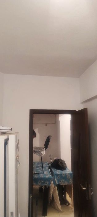 Garsoniera Giurgiu la parter