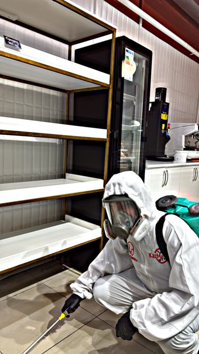 Семей тараканы офис договор