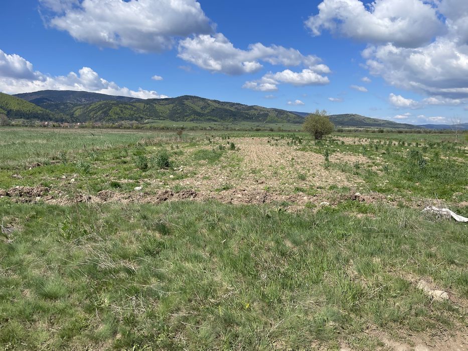 Продава се Земеделски имот в Самоков -  кв.м за 8 €/дка - Снимка #3