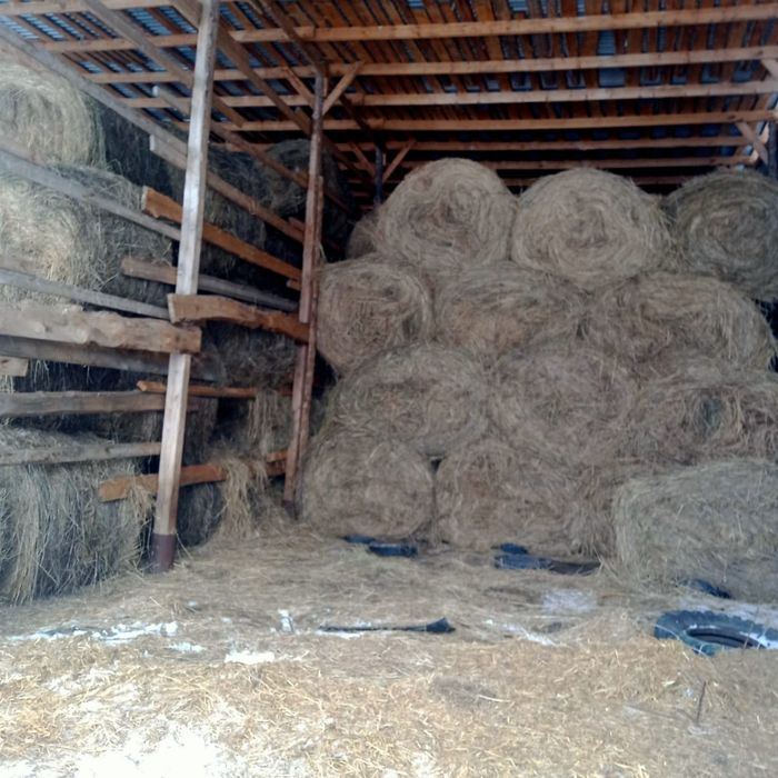 Продам свежее сено.