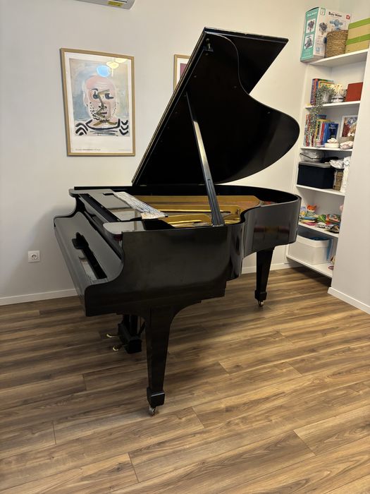 Steinway Model M -170