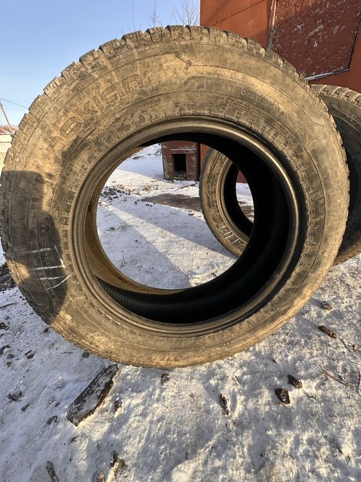 Продаю пакрышка зимни