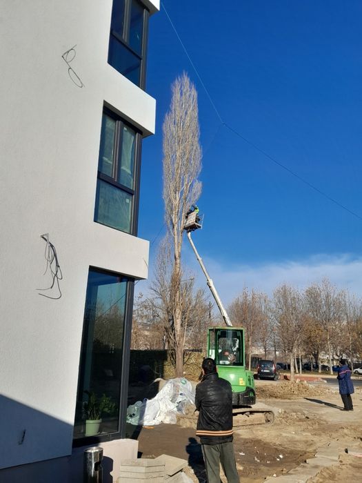 Tăiere copaci alpinist utilitar evaluare pe watap oferim factura