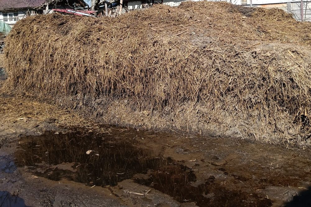 Gunoi de vacă de vânzare