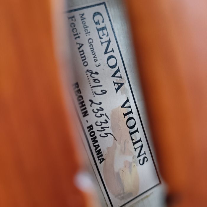 Vioara 4/4 Amati