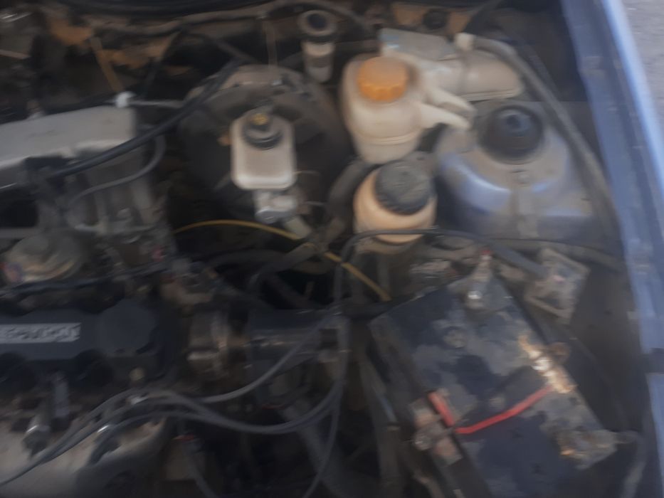 neksiya sons 2006 yil