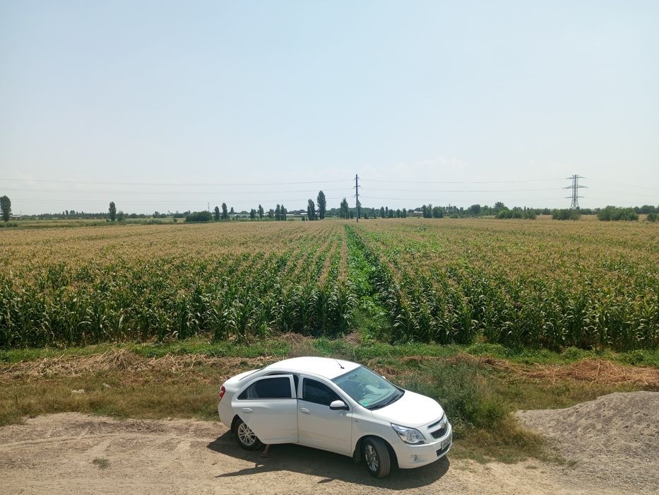 Selyos  4.5 gektar