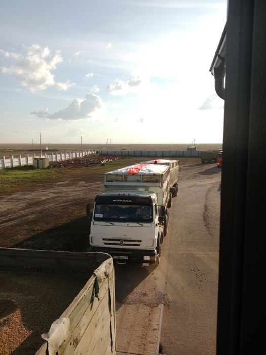 КамАЗ зерновоз самосвал