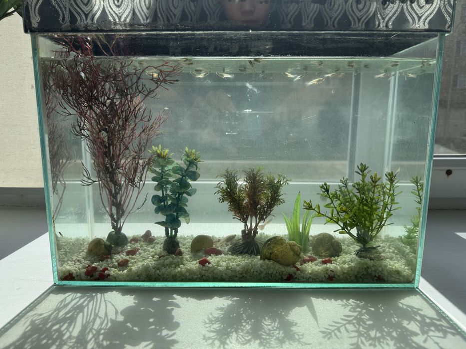 Аквариум на 15 литров