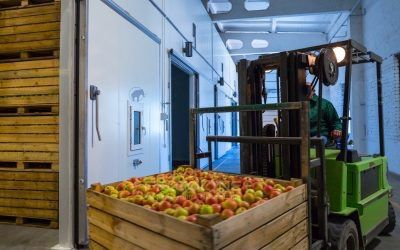 Холодильная камера под заказ