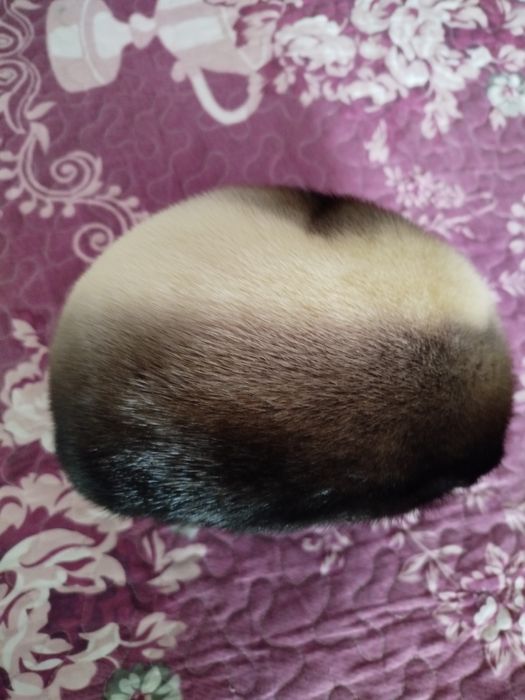 Продам норковый берет совсем новый