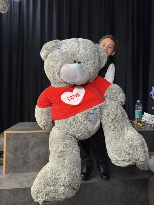 Teddy teddi sifatli va arzon