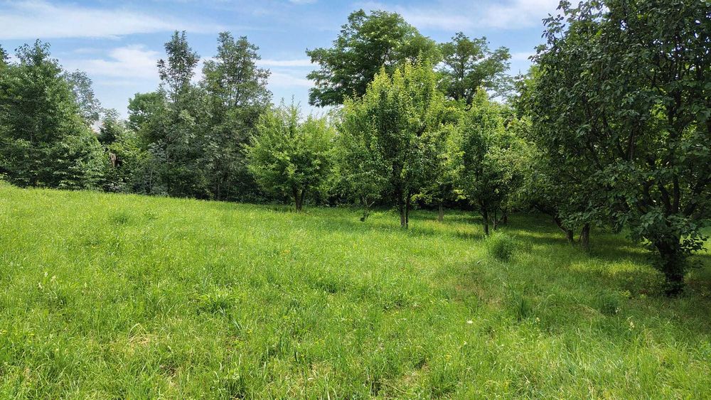 Vanzare 3159 mp TEREN INTRAVILAN Vatra Sat, oras Comarnic  40Euro/mp