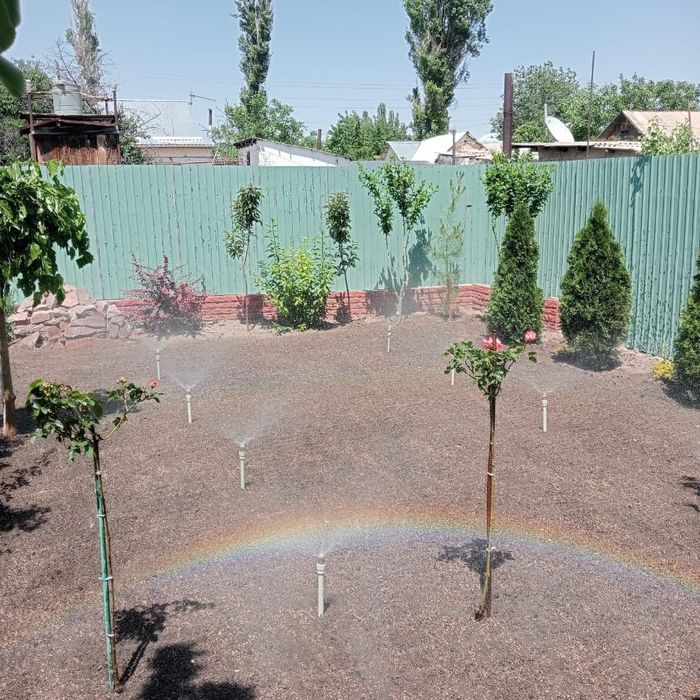 Сажаем газон и растительность