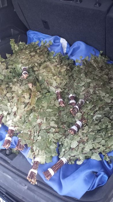 Продам веники для бани