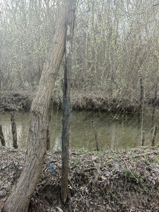 Vânzare casă pitorească, teren 2500mp