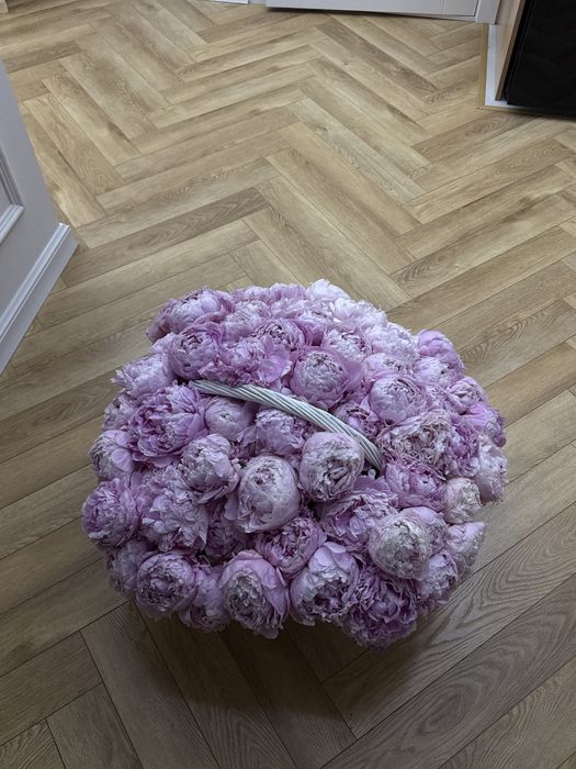 Цветы Пионы свежие